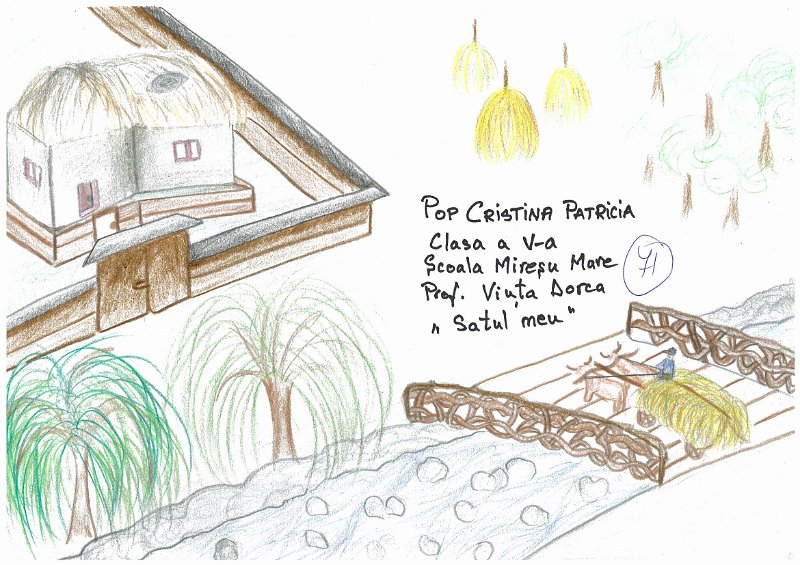 71_Cristina Patricia POP_Miresu Mare.jpg